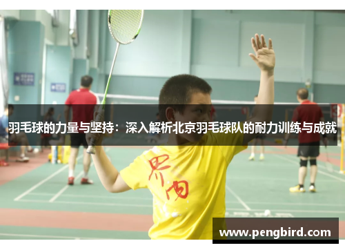 羽毛球的力量与坚持：深入解析北京羽毛球队的耐力训练与成就